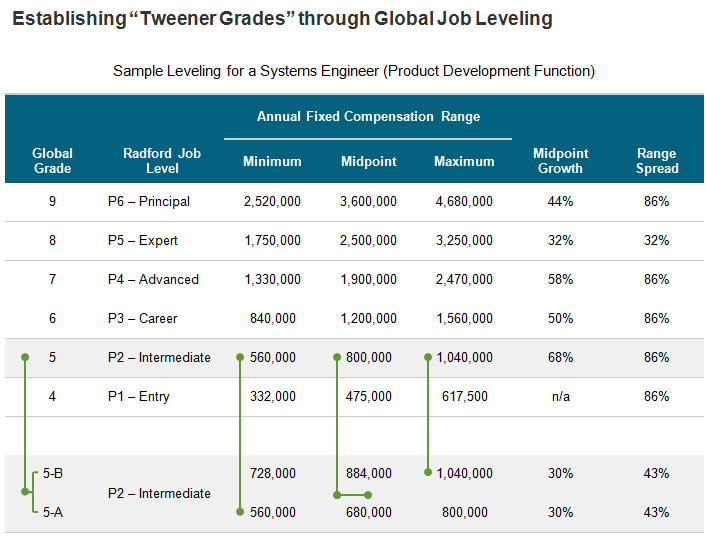 Global Job Leveling at Radford: A Tailor-Made Approach for Companies