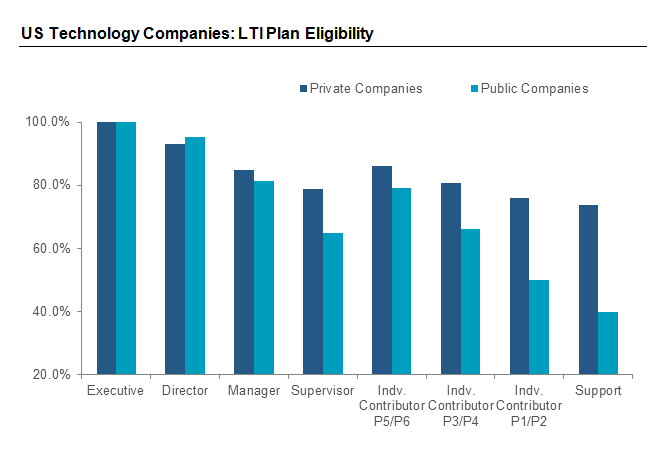 US Technology Companies: LTI Plan Eligibility
